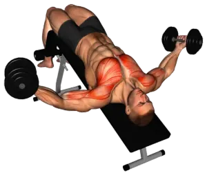 Exercise video 2