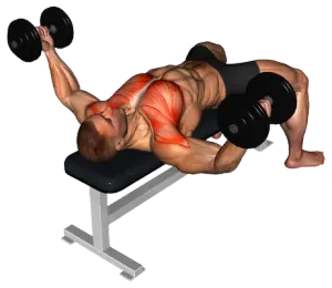 Dumbbell Chest Fly demo video 2