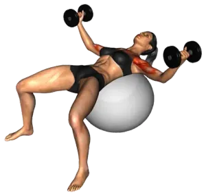 Exercise Ball Dumbbell Fly thumbnail thumbnail