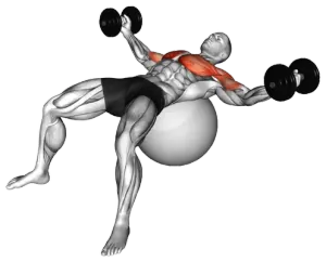 Exercise video 2