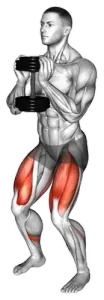 Dumbbell Goblet Squat demo video 2