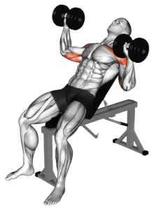 Alternating Dumbbell Incline Press thumbnail thumbnail