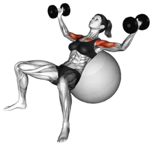 Exercise Ball Dumbbell Incline Fly thumbnail thumbnail