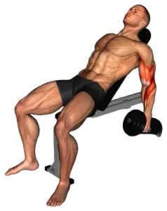 Incline Hammer Curl demo video 2