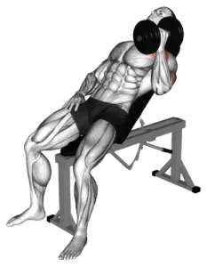 Dumbbell Incline Single-Arm Hammer Press thumbnail thumbnail