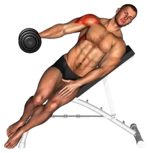 Dumbbell Incline Single-Arm Lateral Raise thumbnail thumbnail