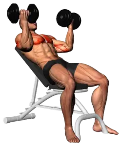 Dumbbell Incline Palm-In Press thumbnail thumbnail