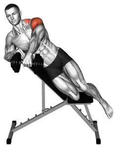 Dumbbell Incline Powell Raise demo video 2