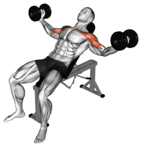 Dumbbell Incline Chest Internally Rotated Fly thumbnail thumbnail