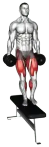 Dumbbell Lateral Step-Up demo video 2
