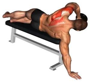Dumbbell Lying Single-Arm Rear Deltoid Raise thumbnail thumbnail