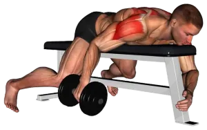 Dumbbell Lying Single-Arm Lateral Rear Raise thumbnail thumbnail
