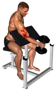 Dumbbell Single-Arm Hammer Preacher Curl thumbnail thumbnail