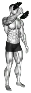 Dumbbell Single-Arm Low Fly thumbnail thumbnail