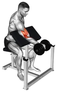 Dumbbell Single-Arm Reverse Preacher Curl thumbnail thumbnail