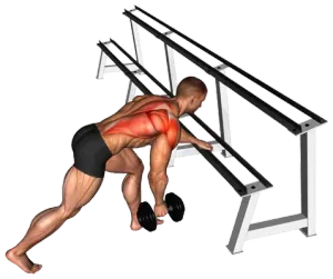 Dumbbell Single-Arm Row demo video 2