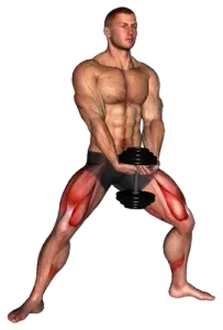 Dumbbell Plyo Squat demo video 2