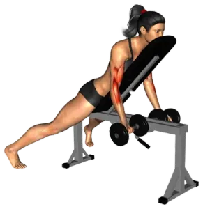 Dumbbell Prone Incline Curl thumbnail thumbnail