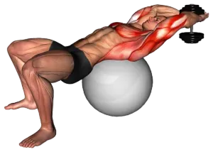 Exercise video 2