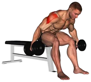 Seated Rear-Delt Internally Rotated Fly demo video 2