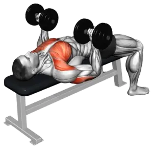 Dumbbell Reverse-Grip Bench Press thumbnail thumbnail
