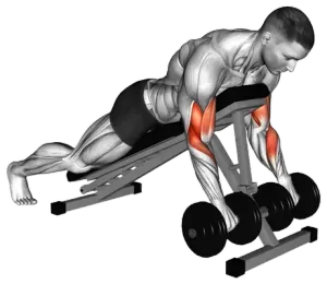 Dumbbell Reverse Spider Curl thumbnail thumbnail