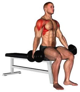 Alternating Dumbbell Seated Front Raise thumbnail thumbnail