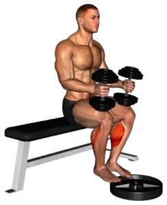 Dumbbell Seated Calf Raise demo video 2