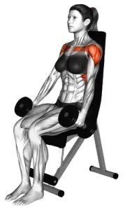 Dumbbell Seated Front Raise thumbnail thumbnail