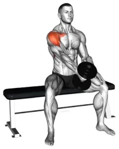 Dumbbell Seated Single-Arm Front Raise thumbnail thumbnail
