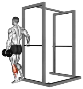 Dumbbell Single-Leg Calf Raise demo video 2
