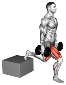 Exercise video 2