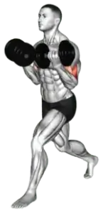 Dumbbell Split-Stance Bicep Curl thumbnail thumbnail