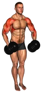 Exercise video 2