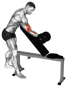 Dumbbell Bench Standing Incline Single-Arm over Curl thumbnail thumbnail