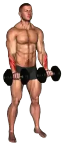 Exercise video 2