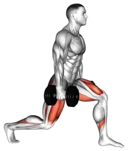 Dumbbell Static Lunge demo video 2