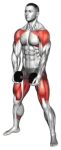 Exercise video 2