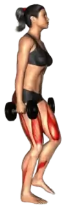 Dumbbell Lunge demo video 2