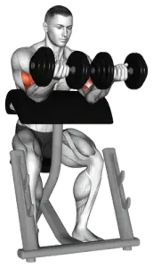 Exercise video 2