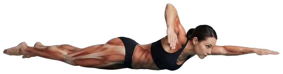 Exercise video 2