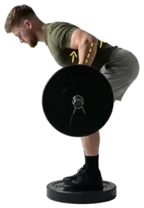 Barbell Supinated Pendlay Row demo video 2
