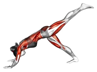 3-Leg Chaturanga Pose thumbnail thumbnail