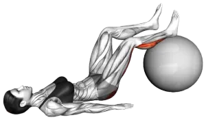 Exercise Ball Hamstring One Legged Diagonal Curl Kick thumbnail thumbnail