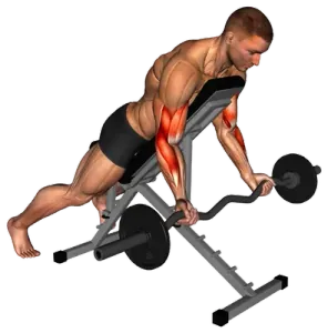 Exercise video 2