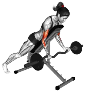 EZ-Bar Spider Curl thumbnail thumbnail