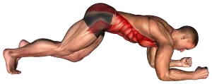 Front Plank demo video 3