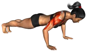 Bodyweight Hand Release Push-Up thumbnail