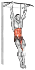Hanging Knee Raise demo video 2