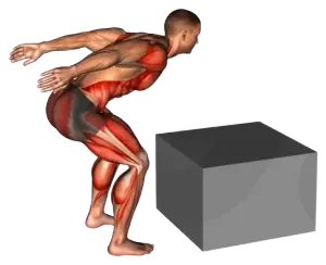 Bench Jump demo video 2